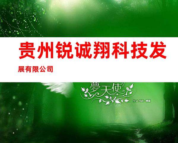 贵州锐诚翔科技发展有限公司